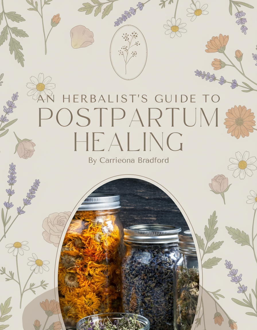 An Herbalist’s Guide to Postpartum Healing