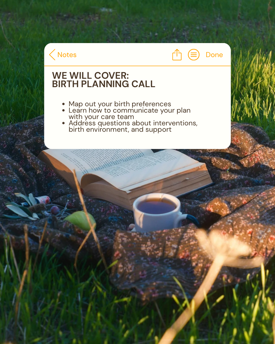 Birth Plan Call